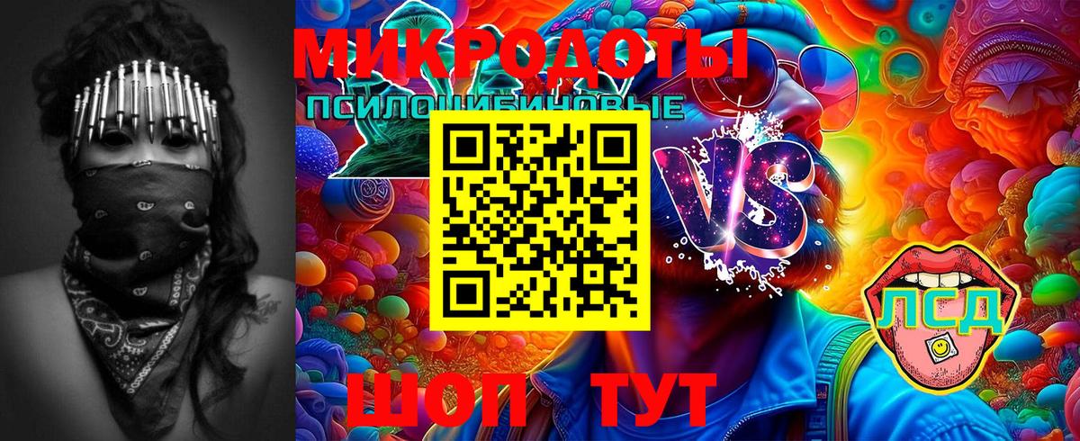Псилоцибиновые грибы прущие грибы Рязань