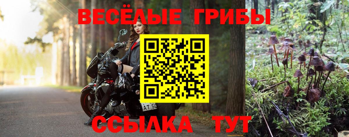 Рязань  Псилоцибиновые грибы ЛСД  Вход с VPN 